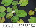 尾瀬の景色です。 82385188