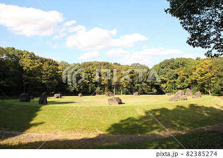 万博記念公園の森の舞台 万博記念公園の森の舞台 82385274