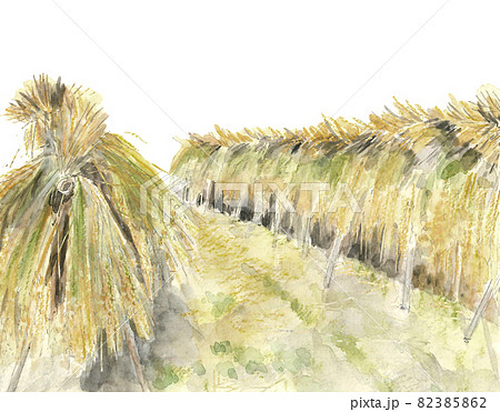 油絵 Noprat 作 Rice Harvest 田んぼ