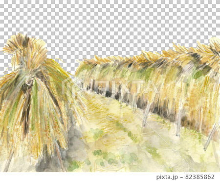 手描き友禅　稲穂　「実りの秋」　タペストリー 手描き友禅稲穂「実りの秋」タペストリー