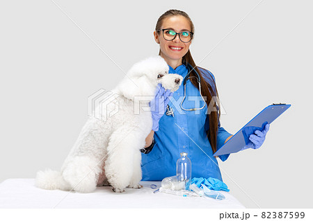 On examination by a vet doctor. Young beautiful smiling woman, veterinary examines white poodle dog. Medicine, pet care, healthy lifestyle concept. On examination by a vet doctor. Young beautiful smiling woman, veterinary examines white poodle dog. Medicine, pet care, healthy lifestyle concept. 82387599