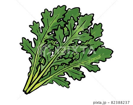 手描き　水彩風の春菊 82388237