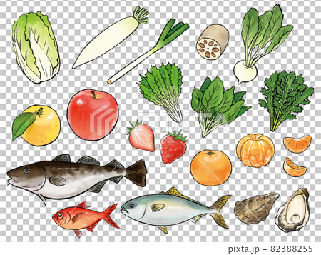 Watercolor illustration set of seasonal ingredients delicious in winter Watercolor illustration set of seasonal ingredients delicious in winter 82388255