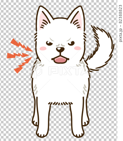 Menacing Kishu dog 82388823