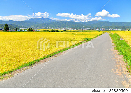 飯山駅、斑尾山方面を望む(長野県木島平村)【2021.9】 飯山駅、斑尾山方面を望む(長野県木島平村)【2021.9】 82389560