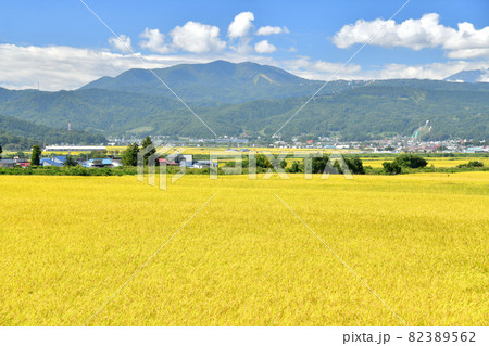飯山駅、斑尾山方面を望む(長野県木島平村)【2021.9】 飯山駅、斑尾山方面を望む(長野県木島平村)【2021.9】 82389562
