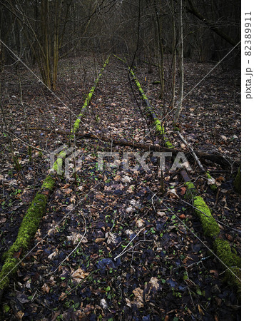 Rusty, old, unused, green moss-covered railway tracks in Belarusian autumn forest Rusty, old, unused, green moss-covered railway tracks in Belarusian autumn forest 82389911