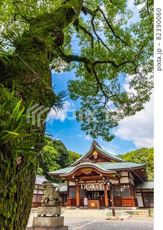 成海神社、創建は飛鳥時代〈愛知県名古屋市〉 成海神社、創建は飛鳥時代〈愛知県名古屋市〉 82390060