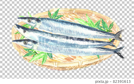 水彩で描いた竹ざるに盛られた秋刀魚のイラストのイラスト素材