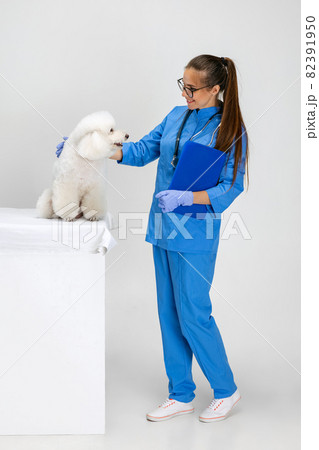 Friendship. Young beautiful woman, veterinary, groomer takes care of sweet white poodle dog. Medicine, pet care, healthy lifestyle concept. 82391950