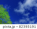 新緑の里山で青空と白い雲 82393191