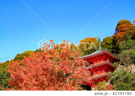 岐阜市、岐阜公園三重塔の風景 岐阜市、岐阜公園三重塔の風景 82393780
