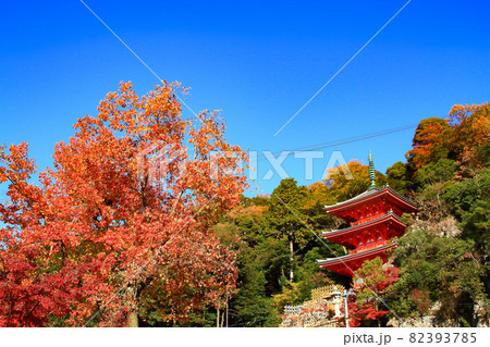 岐阜市、岐阜公園三重塔の風景 82393785