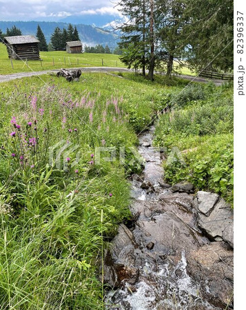 wild river in the alpine nature of austrian alps wild river in the alpine nature of austrian alps 82396337