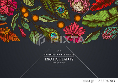 Floral design on dark background with banana palm leaves, hibiscus, solanum, bromeliad, peacock 82396903