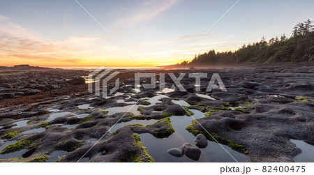 Botanical Beach on the West Coast of Pacific Ocean. Botanical Beach on the West Coast of Pacific Ocean. 82400475