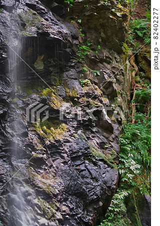 岡山県 夏の津山 白髪滝の風景 8月 の写真素材