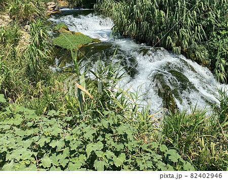 Close up of small waterfall and green plants in nature Close up of small waterfall and green plants in nature 82402946