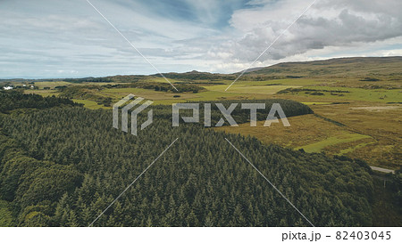 Pine forest at green valley aerial. Nobody nature landscape. Rural farmlands at road. Greenery trees 82403045