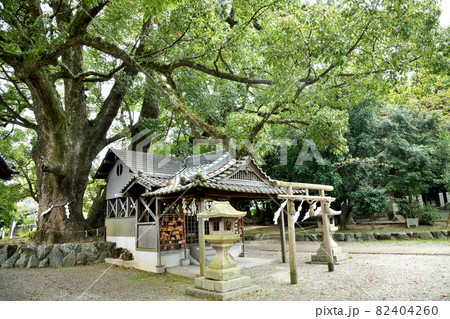 藤白神社(子守楠神社)　【和歌山県海南市】 82404260