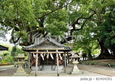 藤白神社(子守楠神社)　【和歌山県海南市】 82404261