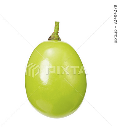 シャインマスカット シャインマスカット 82404279