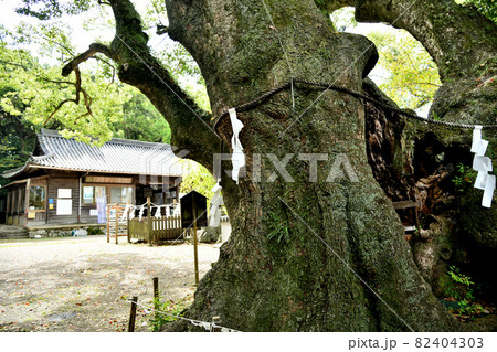 藤白神社　【和歌山県海南市】 82404303