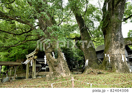 藤白神社　【和歌山県海南市】 82404306