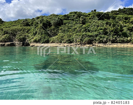 西表島　船浮周辺の澄んだ海 82405183