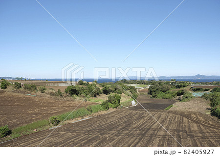 三浦半島の畑と海の広がる丘 82405927