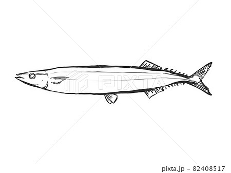 秋刀魚の手描き筆絵風イラストのイラスト素材