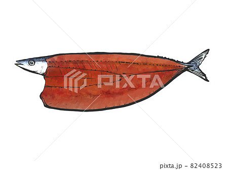 秋刀魚の開きの手描き筆絵風イラストのイラスト素材