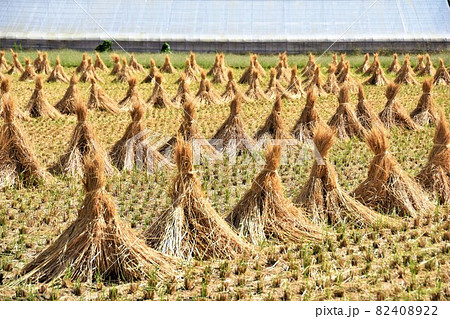 稲刈りが終わった田んぼの積みわら 82408922
