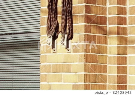 時々妻と出かける日比谷公園。何の目的もなくただゆっくりする為だけに車で出かける日比谷公園。 今日は一 時々妻と出かける日比谷公園。何の目的もなくただゆっくりする為だけに車で出かける日比谷公園。 今日は一 82408942