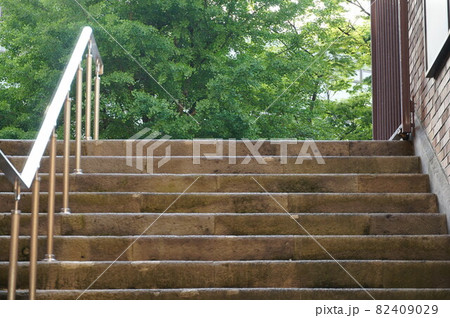 時々妻と出かける日比谷公園。何の目的もなくただゆっくりする為だけに車で出かける日比谷公園。 今日は一 時々妻と出かける日比谷公園。何の目的もなくただゆっくりする為だけに車で出かける日比谷公園。 今日は一 82409029