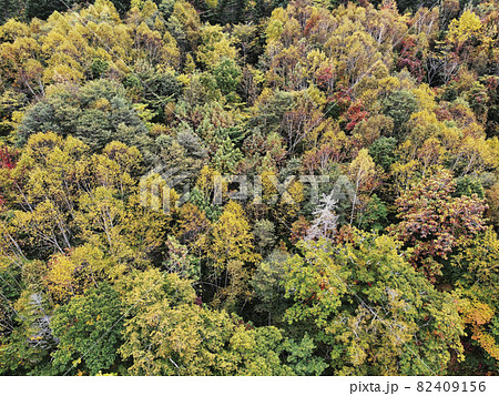 紅葉が始まった森林 空撮(北海道 支笏湖周辺) 紅葉が始まった森林 空撮(北海道 支笏湖周辺) 82409156
