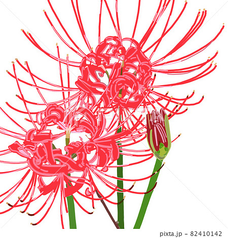 綺麗な花 Flowerのイラスト素材