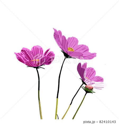 綺麗な花 Flowerのイラスト素材