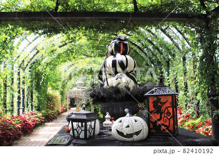 ハロウィン お化けのかぼちゃ ハロウィン お化けのかぼちゃ 82410192