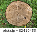木目が見える切株　真上 82410455
