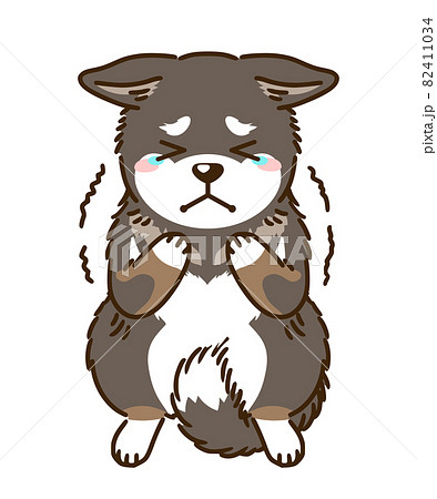 怯える四国犬のイラスト素材