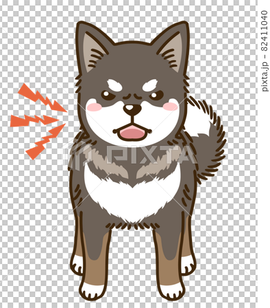 來勢洶洶的四國犬 來勢洶洶的四國犬 82411040