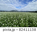 蕎麦の花と山 82411138