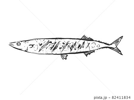さんまの塩焼きの手描き筆絵風イラストのイラスト素材 4114