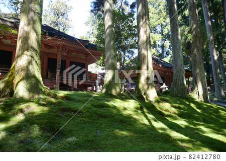 比叡山延暦寺　西塔　常行堂と法華堂　滋賀県大津市坂本 82412780