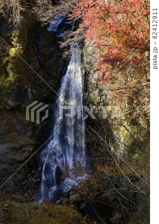紅葉の木々と小中大滝 82412911