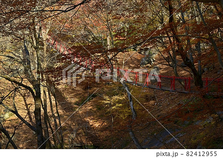 紅葉の木々と小中大滝への遊歩道にある袈裟かけ橋 82412955