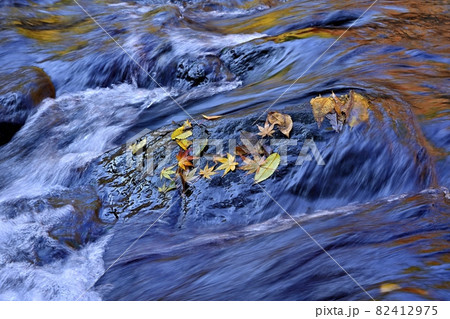 紅葉に染まる小中川の流れと岩にもみじの落ち葉 82412975