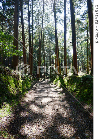 比叡山延暦寺 横川 参道 滋賀県大津市坂本 比叡山延暦寺 横川 参道 滋賀県大津市坂本 82413021
