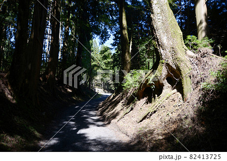 比叡山延暦寺　横川　恵心院参道　滋賀県大津市坂本 82413725